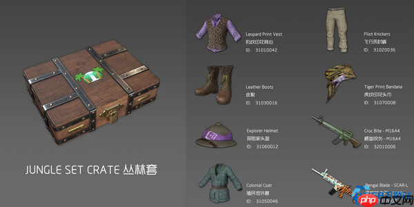 丛林宝藏猎人必备指南:解锁稀有皮肤与服饰的黄金法则