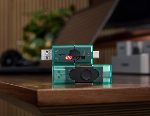 金士顿DTDUO Gen2闪存盘，双接口通吃，高效便捷存储