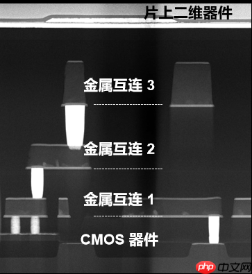 碾压传统闪存！我国研发全球首个二维-硅基混合架构闪存芯片