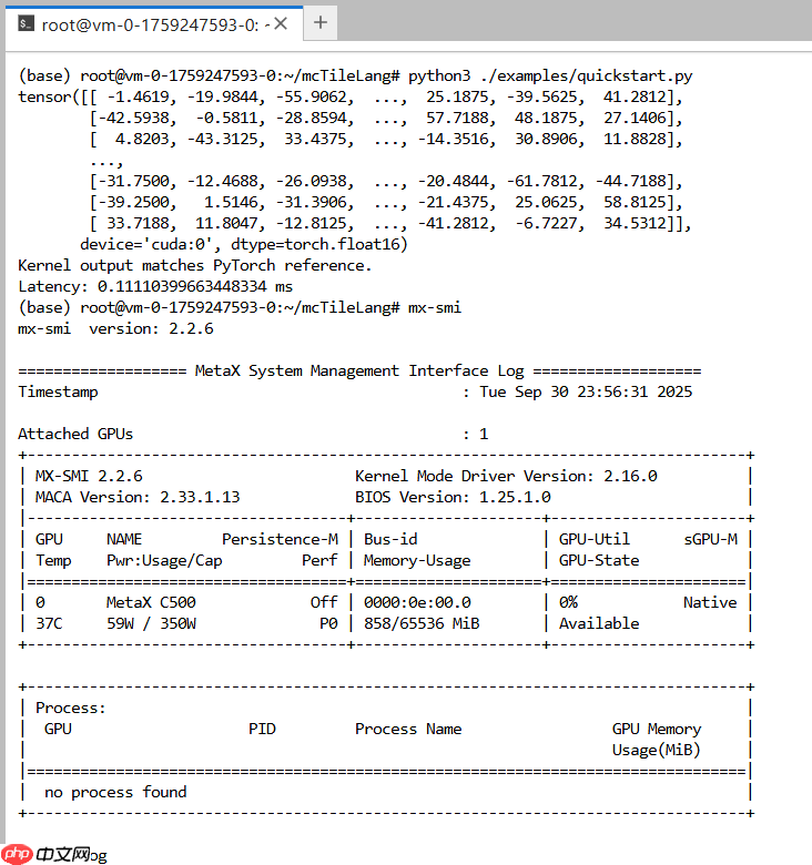 全网首个国芯 TileLang 在线体验环境,就在模力方舟!