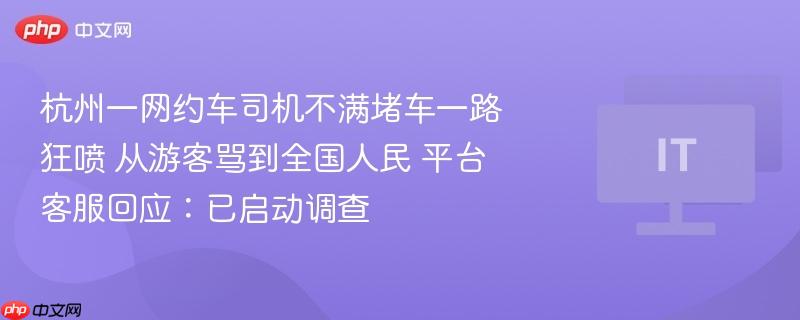 杭州网约车司机因堵车情绪失控，言辞攻击游客及全国人民，平台回应正在调查