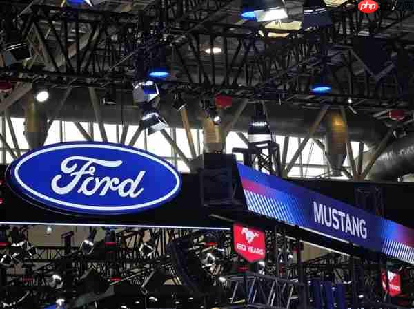 福特CEO，中国电动车行业中的重磅巨擘——中国市场的战略地位分析