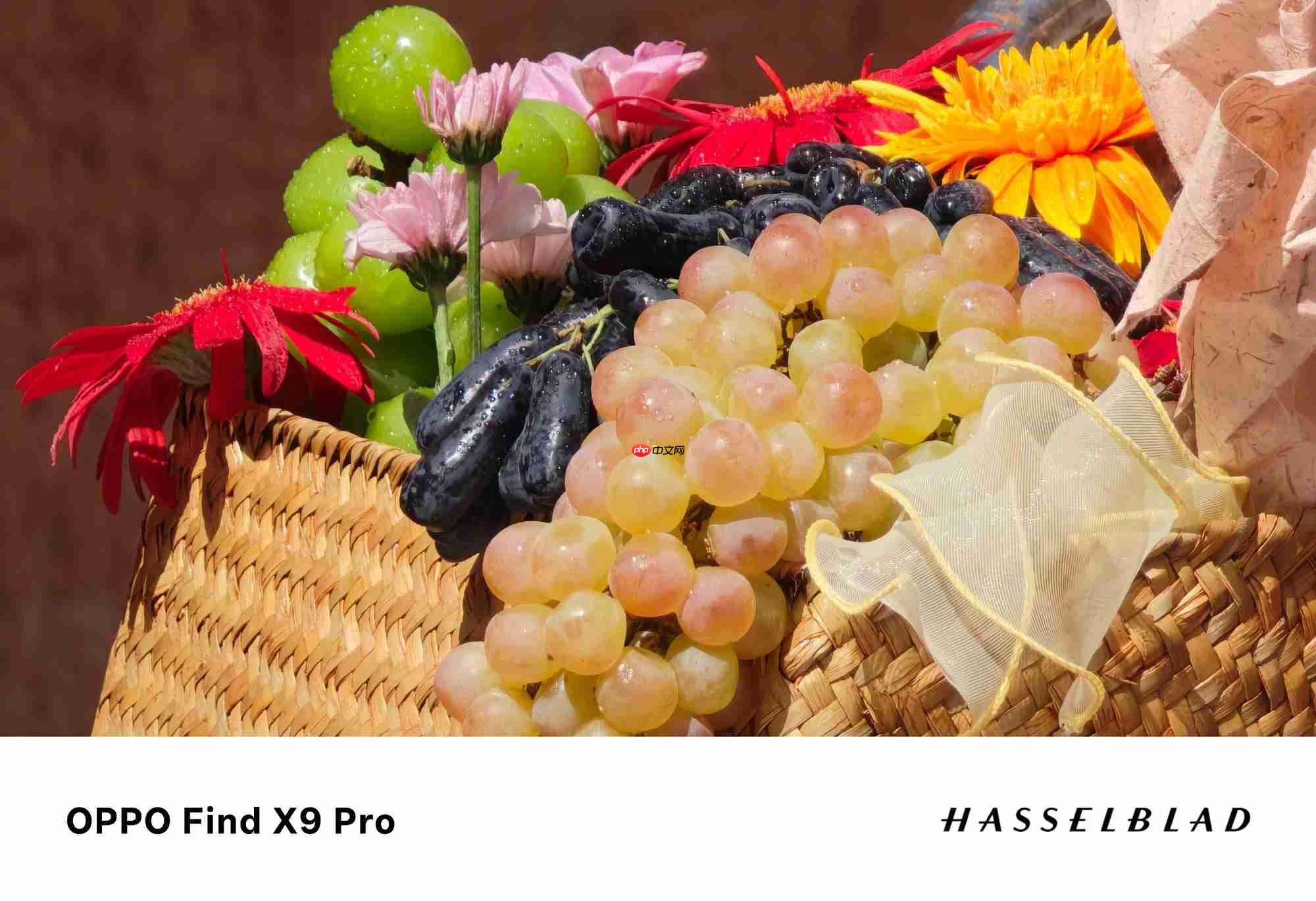 丹霞镜头+哈苏真2亿！OPPO Find X9系列影像实力再进阶