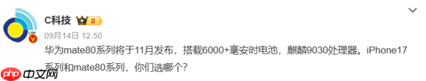曝华为Mate80系列新增Air机型 支持eSIM 采用微泵液