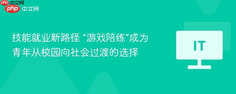 游戏陪练，青年技能就业的新路径，校园到社会的过渡选择