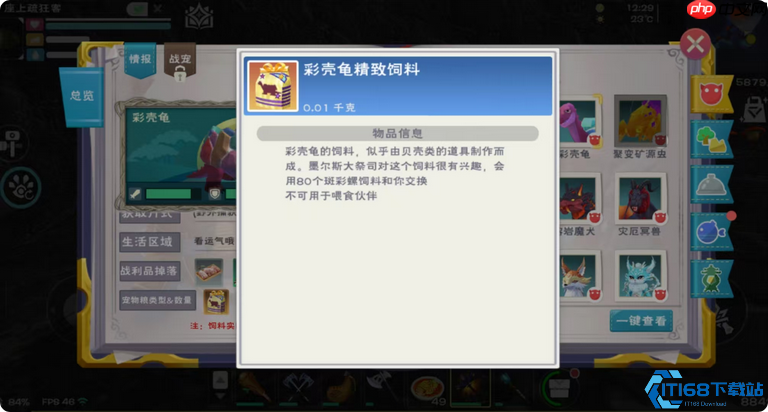 龟饲料全攻略：新手秒变驯龟大师，从入门到精通