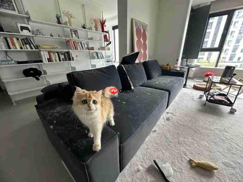 养宠家庭必看:除螨仪到底要不要买?多久用一次?友望大白Ultra给答案