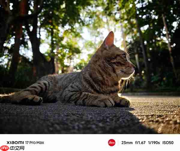 小米17 Pro系列实拍样张首次公布 雷军:逆光之王!