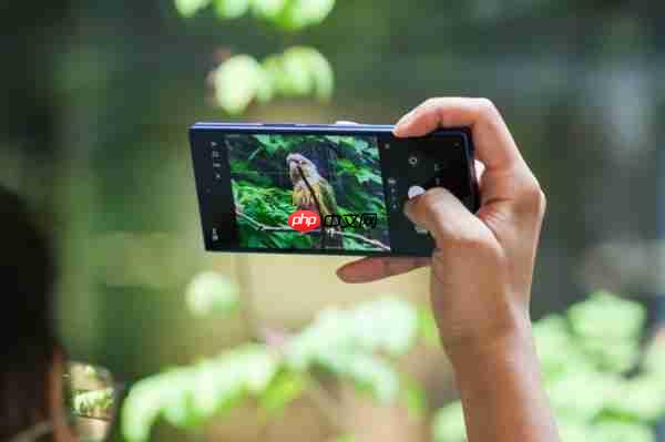 科技融合艺术：三星Galaxy Z系列以创新AI影像探索城市之美