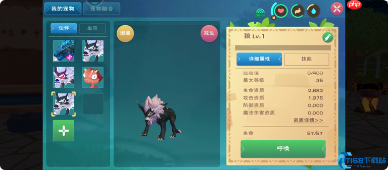 坐骑大师速成班：从骑术入门到跨地形征服指南