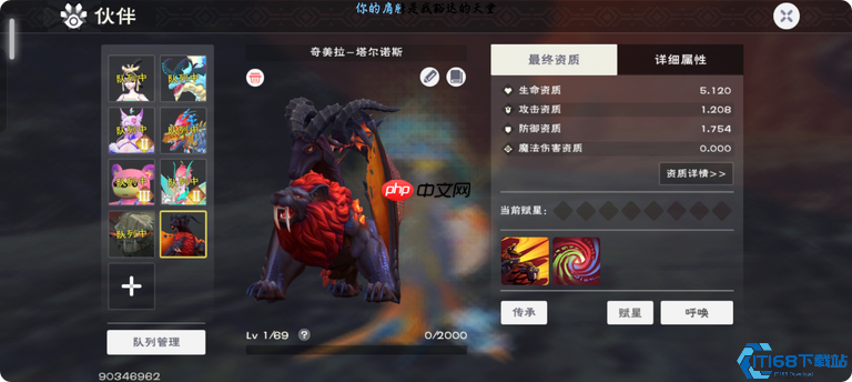 坐骑大师速成班：从骑术入门到跨地形征服指南