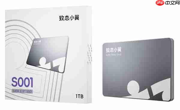 致态五周年重磅消息:旗下新品牌“致态小翼”正式官宣!首发两款新品