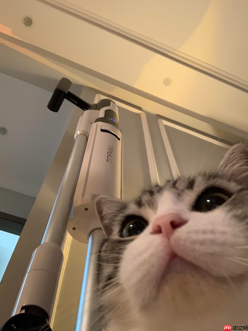 自集尘技术崛起,友望以本土创新颠覆戴森市场霸主地位