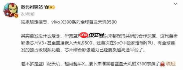 2025“拍照最强”的手机:vivo X300 Pro 2亿像素成旅拍神器