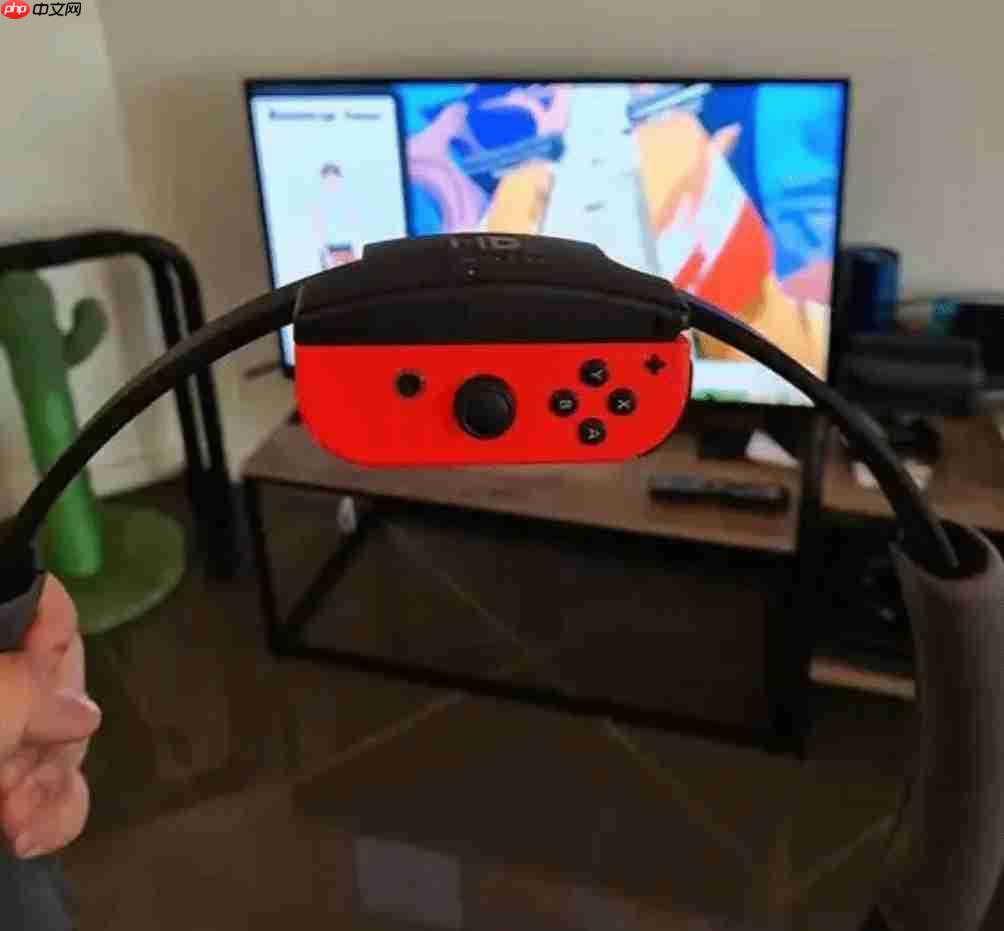 日本女子玩任天堂《健身环大冒险》 颈痛两天后中风