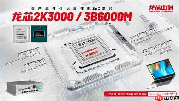 龙芯3B6000M入选国家安全可靠最高等级Ⅱ级!“三剑客”一齐登顶
