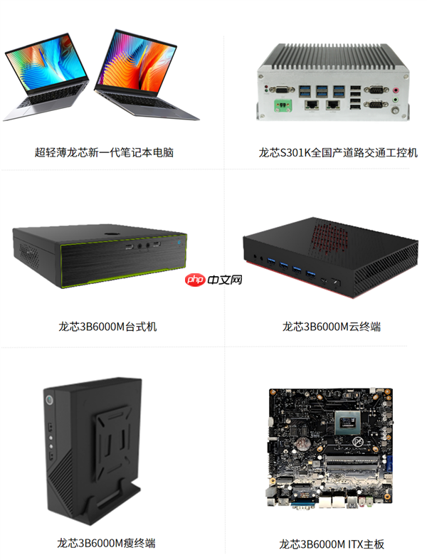 龙芯3B6000M入选国家安全可靠最高等级Ⅱ级!“三剑客”一齐登顶