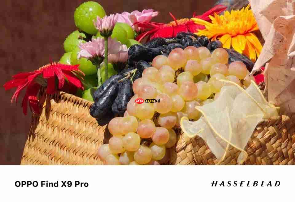 OPPO Find X9 系列引领手机影像画质革命,从此出游不用背相机