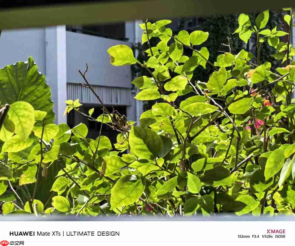 华为Mate XTs体验:降价2000元反而更强了,三折叠实用的开端?