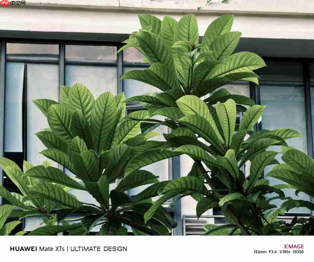 华为Mate XTs体验:降价2000元反而更强了,三折叠实用的开端?