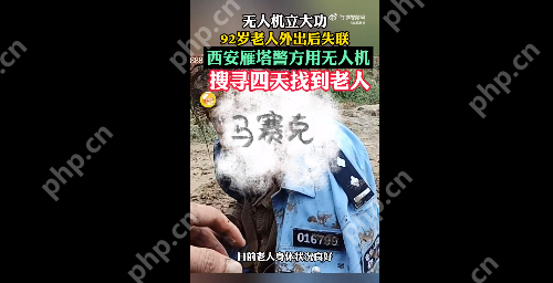 92岁阿尔茨海默症老人散步后失联4天 无人机立大功找回 - php中文网