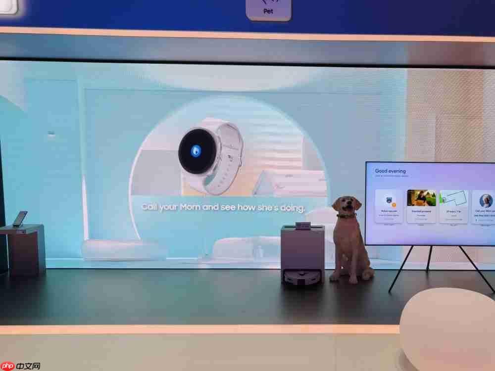 IFA2025情绪价值彻底爆了,长虹海信追觅们开卖 “生活方式”