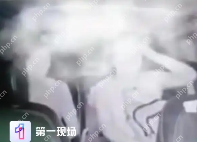 深圳女子白嫖网约车事件司机还原事发经过,深圳警方:二人已被行拘 - php中文网