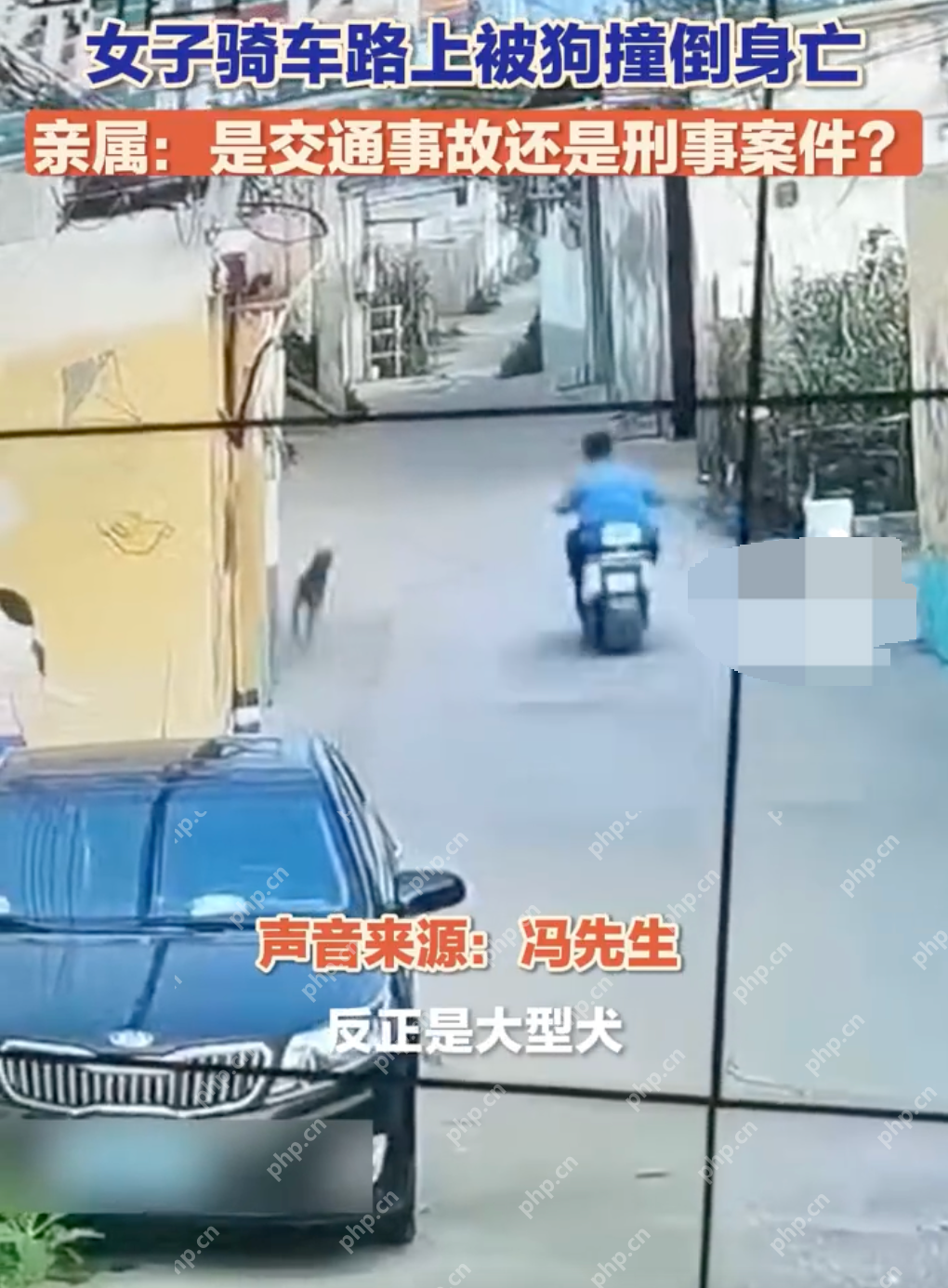 未拴绳大狗撞倒女子致其当场死亡：目前一直没有结果 - php中文网