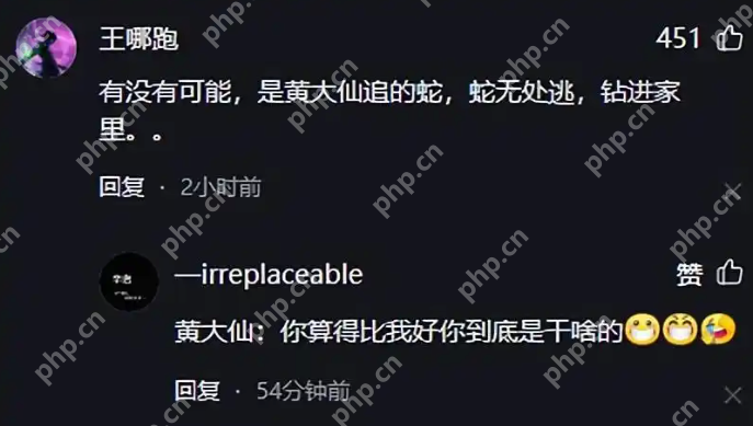现实版“动物世界”:小蛇钻入家中黄鼠狼紧随将其叼出 - php中文网