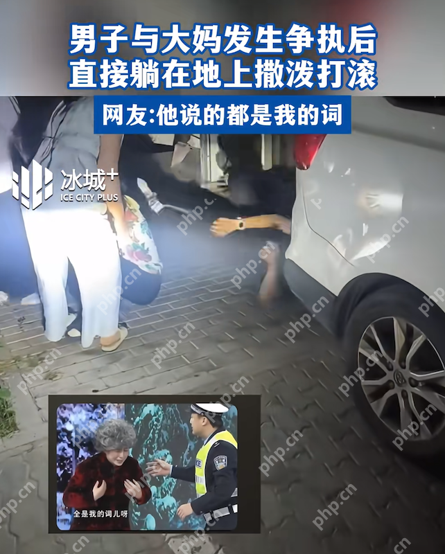 “剧本拿反了?”小伙与大妈争吵,竟当街撒泼打滚 - php中文网