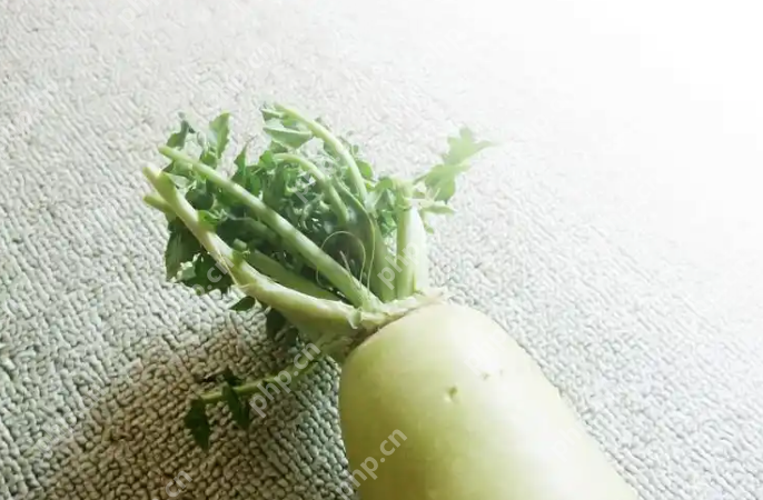 告别浪费:超实用的家庭常见蔬菜保鲜技巧大全 - php中文网