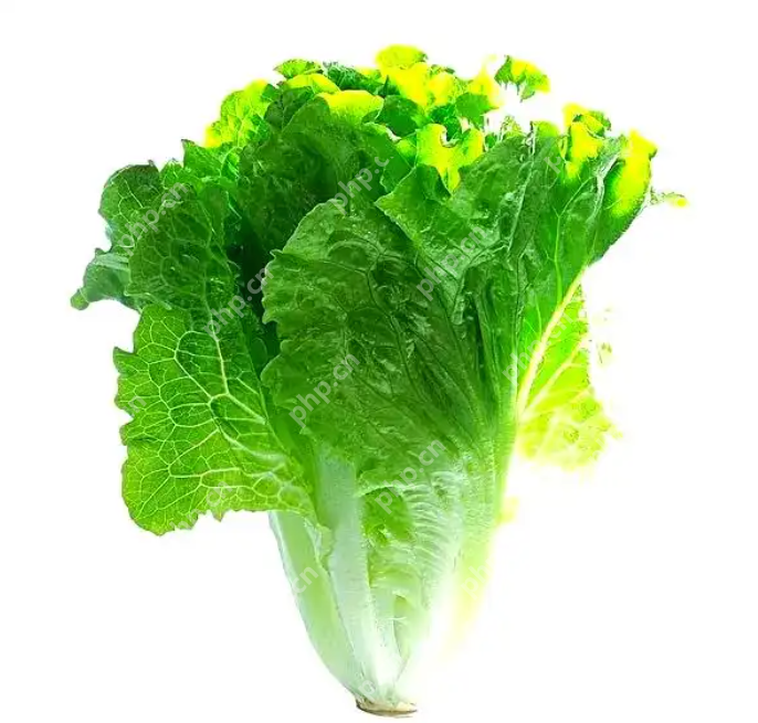 告别浪费:超实用的家庭常见蔬菜保鲜技巧大全 - php中文网