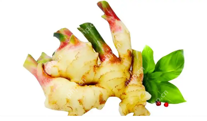 告别浪费:超实用的家庭常见蔬菜保鲜技巧大全 - php中文网