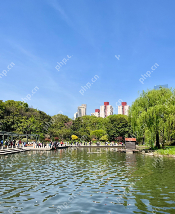 上海提前完成“千园之城”建设目标,公园总数达1013座 - php中文网