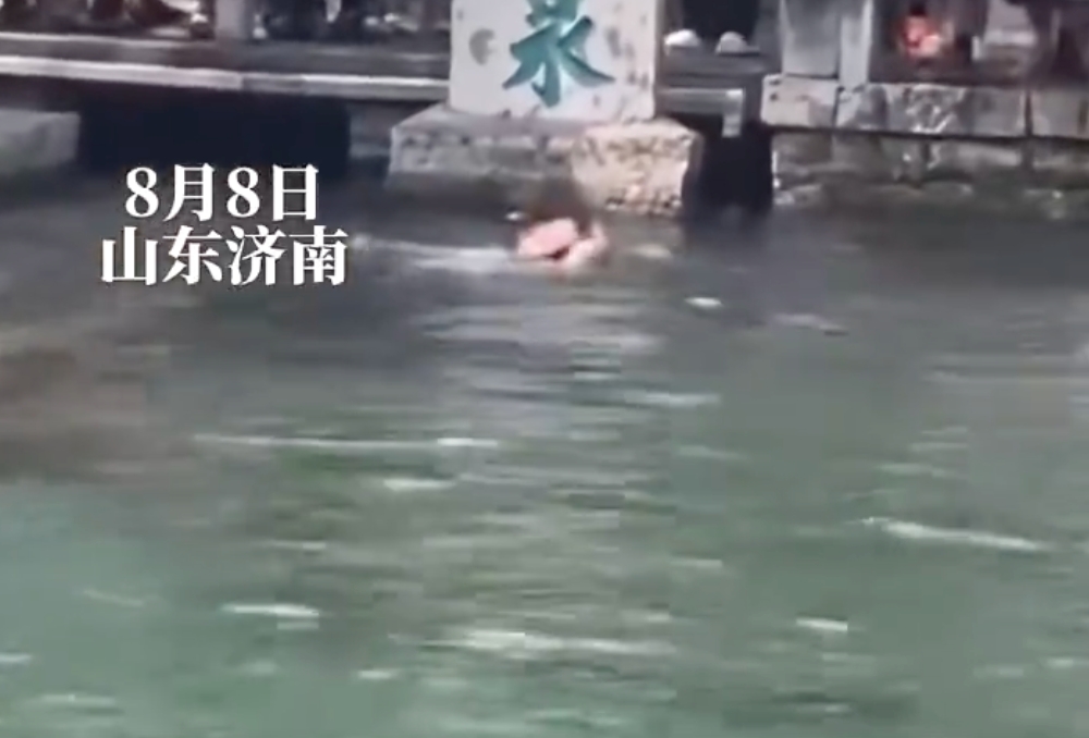 游客掉入趵突泉 网友:大家都是来看的,为什么你能又游又喝 - php中文网