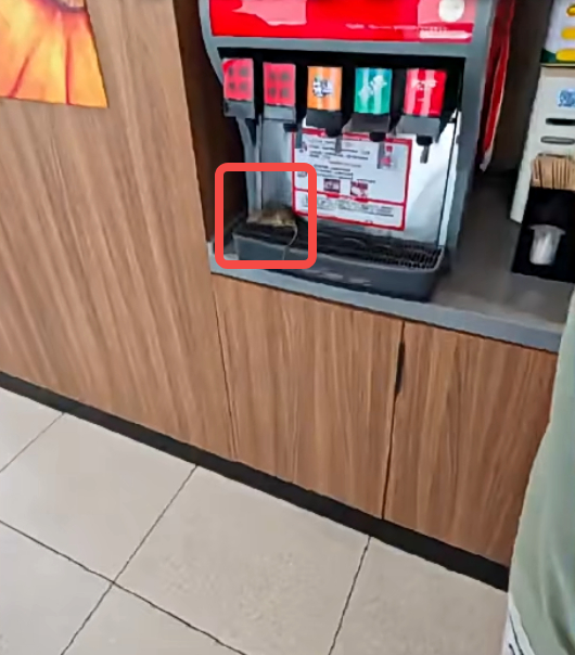 男子将死老鼠放饮料机上被刑拘，事件背后真相揭秘