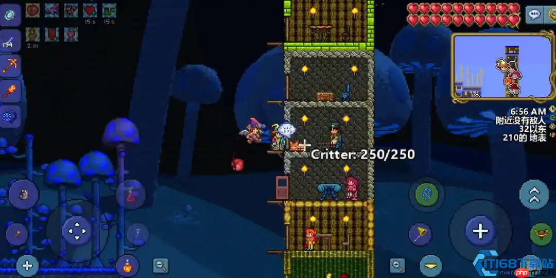 泰拉瑞亚照明宠物攻略:发光小伙伴全收集指南