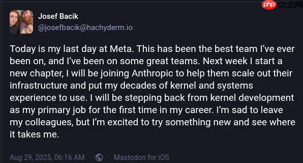 Linux 文件系统 Btrfs 长期贡献者退出内核项目，加入Anthropic