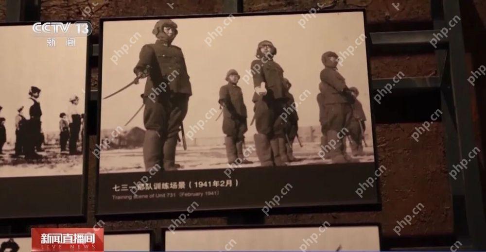 新罪证揭秘:侵华日军731部队的“少年班” - php中文网