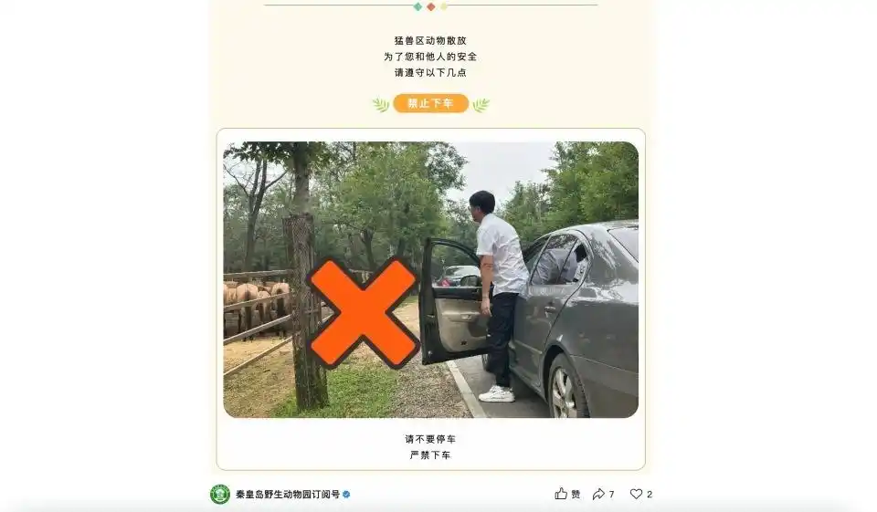 两车在秦皇岛野生动物园猛兽区发生剐蹭,多名游客下车当着老虎面吵架 - php中文网