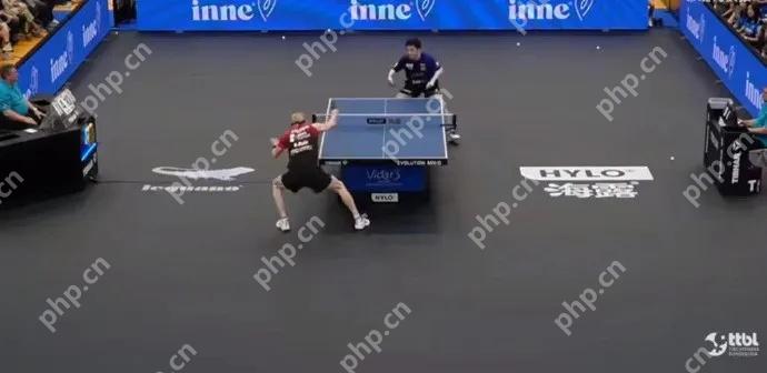 樊振东德甲首秀失利,俱乐部发文鼓励 - php中文网