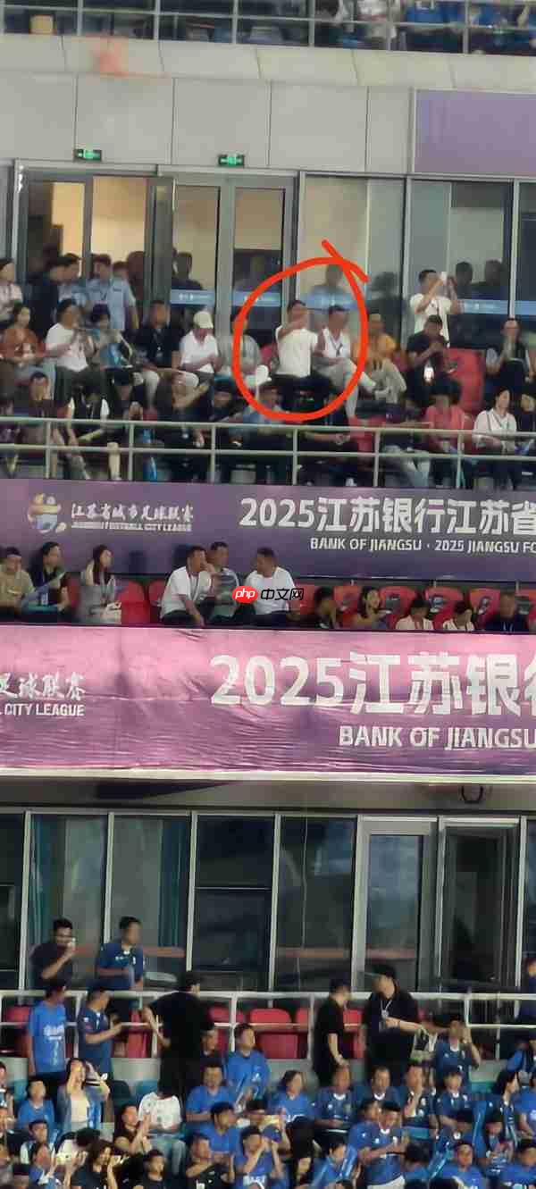 刘强东现身苏超赛场，为宿迁队加油助威