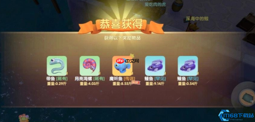 奇幻悬浮魔鳉鱼终极攻略!雨天钓取技巧大揭秘