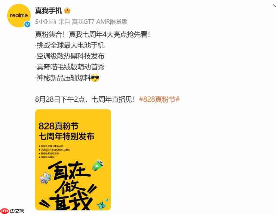 10000mAh手机要来了吗?真我公布828真粉节亮点