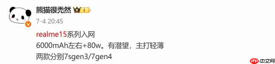 真我15系列取消Pro+,全力打造“豪华版Pro”