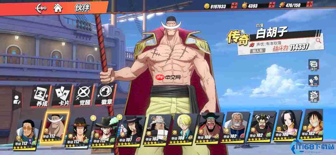 战神养成!白胡子老爹极致加点与战斗技巧拆解