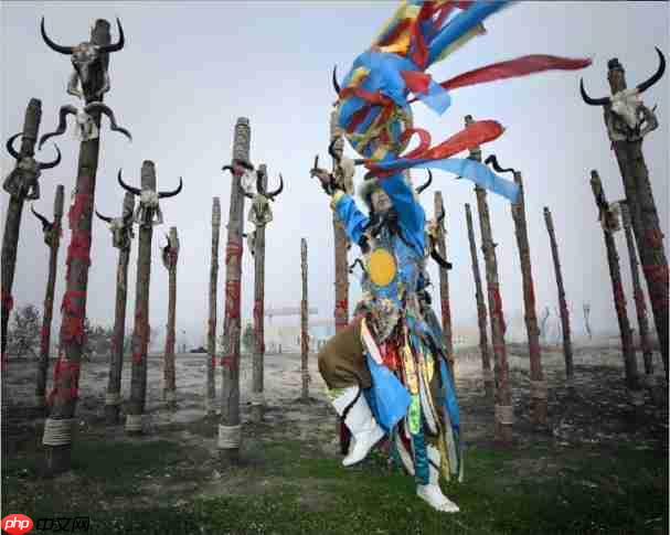 额济纳“昼赏胡杨夜游星河”全时体验即将开启