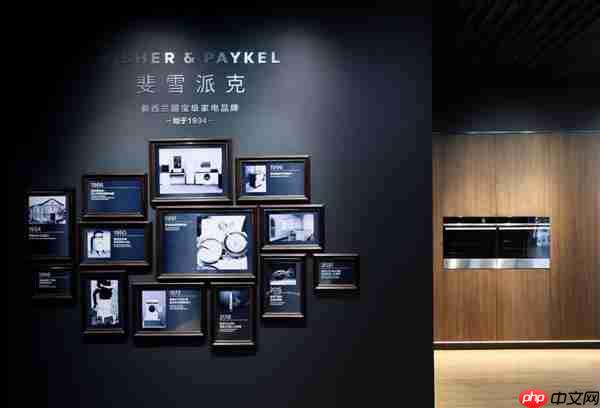 体验至上 太原消费者可零距离与斐雪派克交互