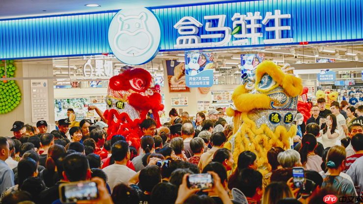 盒马将再开100家新店  年内门店数将超500