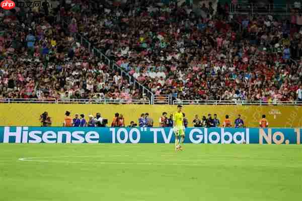 《中国足球环境及未来发展白皮书（2025）》发布：100吋大屏电视成球迷客厅新标配